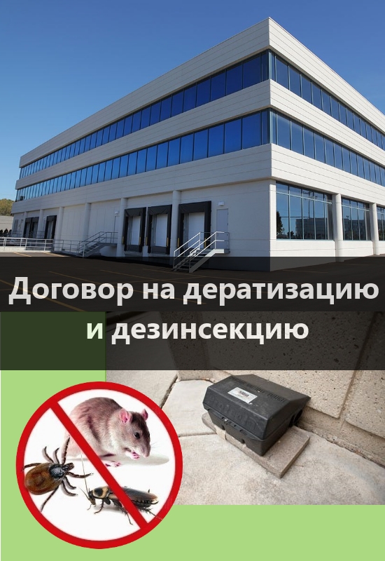 дератизация и дезинсекция спб